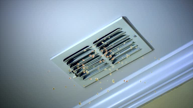 Best Ductwork Cleaning Services  in Rugby, ND